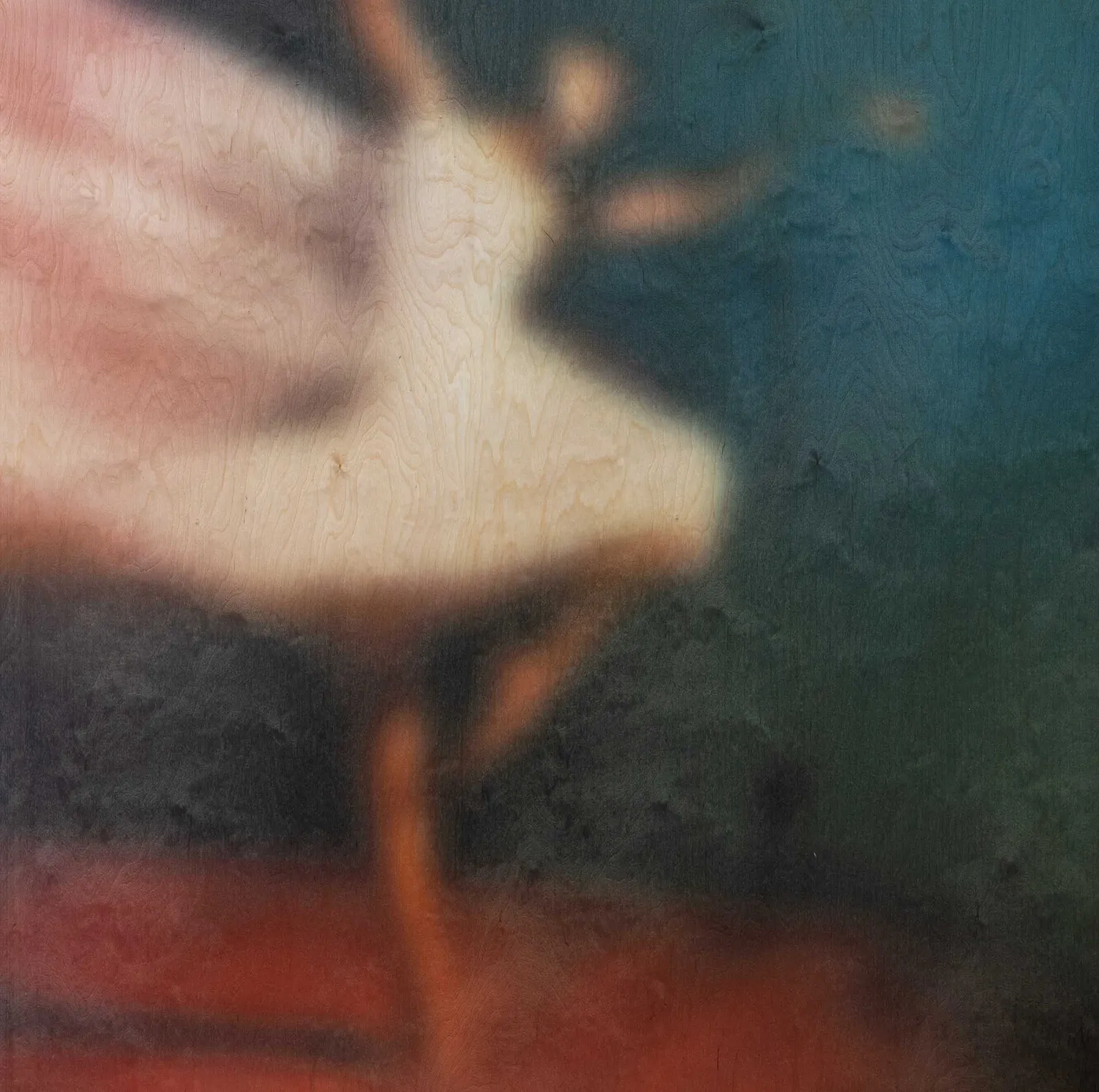 Samy Elias, Untitled, 2020