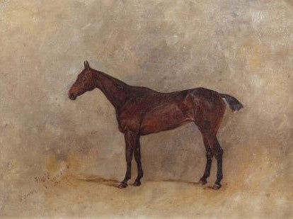 Henry Frederick Lucas-Lucas (1848-1943), A study of a chestnut horse, 1895
