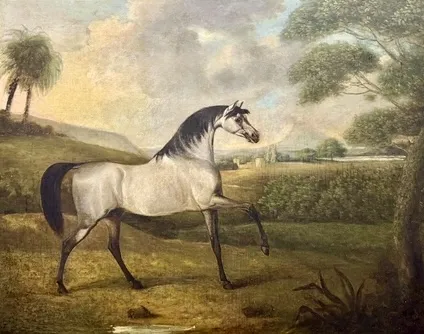 A grey Arab stallion by Henry Bernard Chalon
