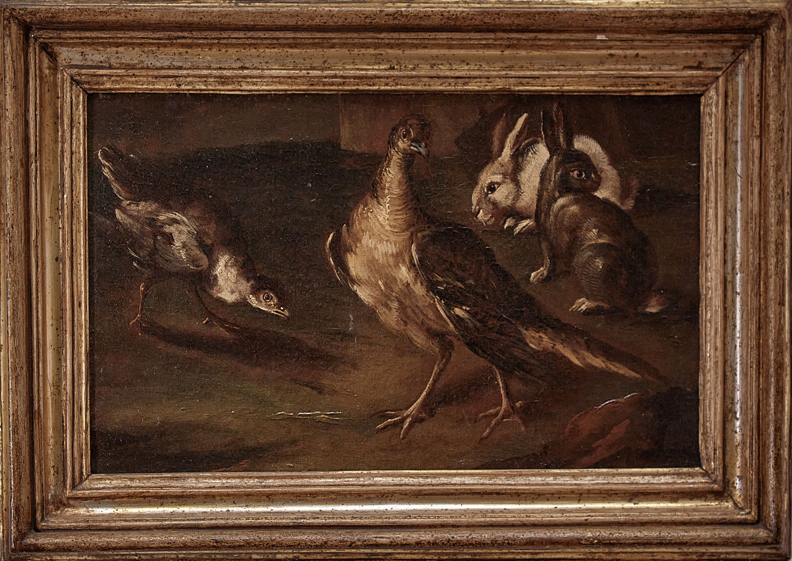 Angelo Maria Crivelli (1672-1730) , Partridges and Hares, c.1700
