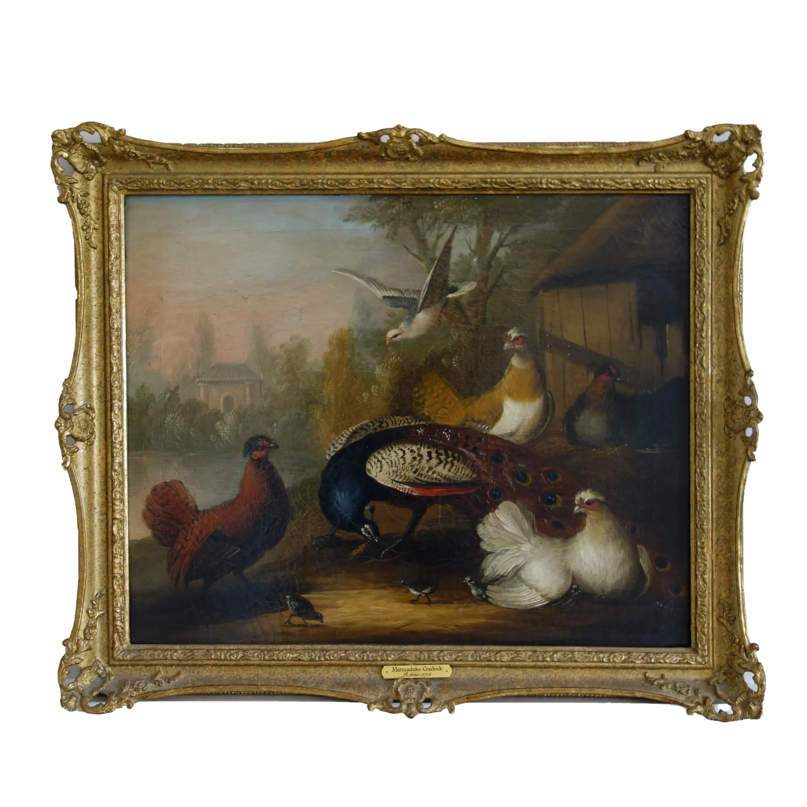 Marmaduke Cradock (1660-1716), Pair of 17th century oil paintings of peacocks and other birds in a landscape, c.1690