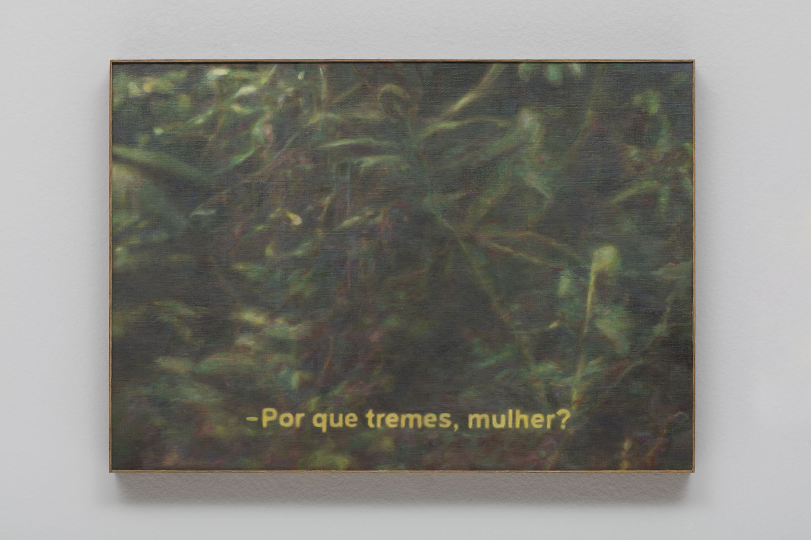 Regina Parra, Why are you trembling woman?, 2016
