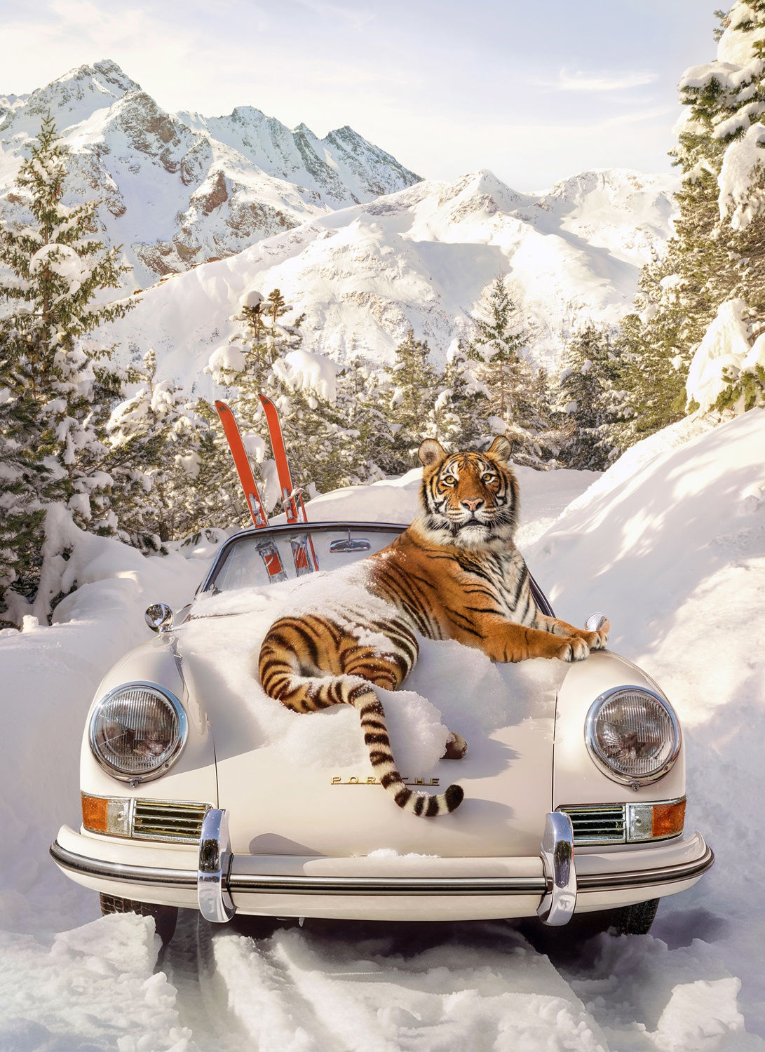 Paul Fuentes, Tiger in St. Moritz