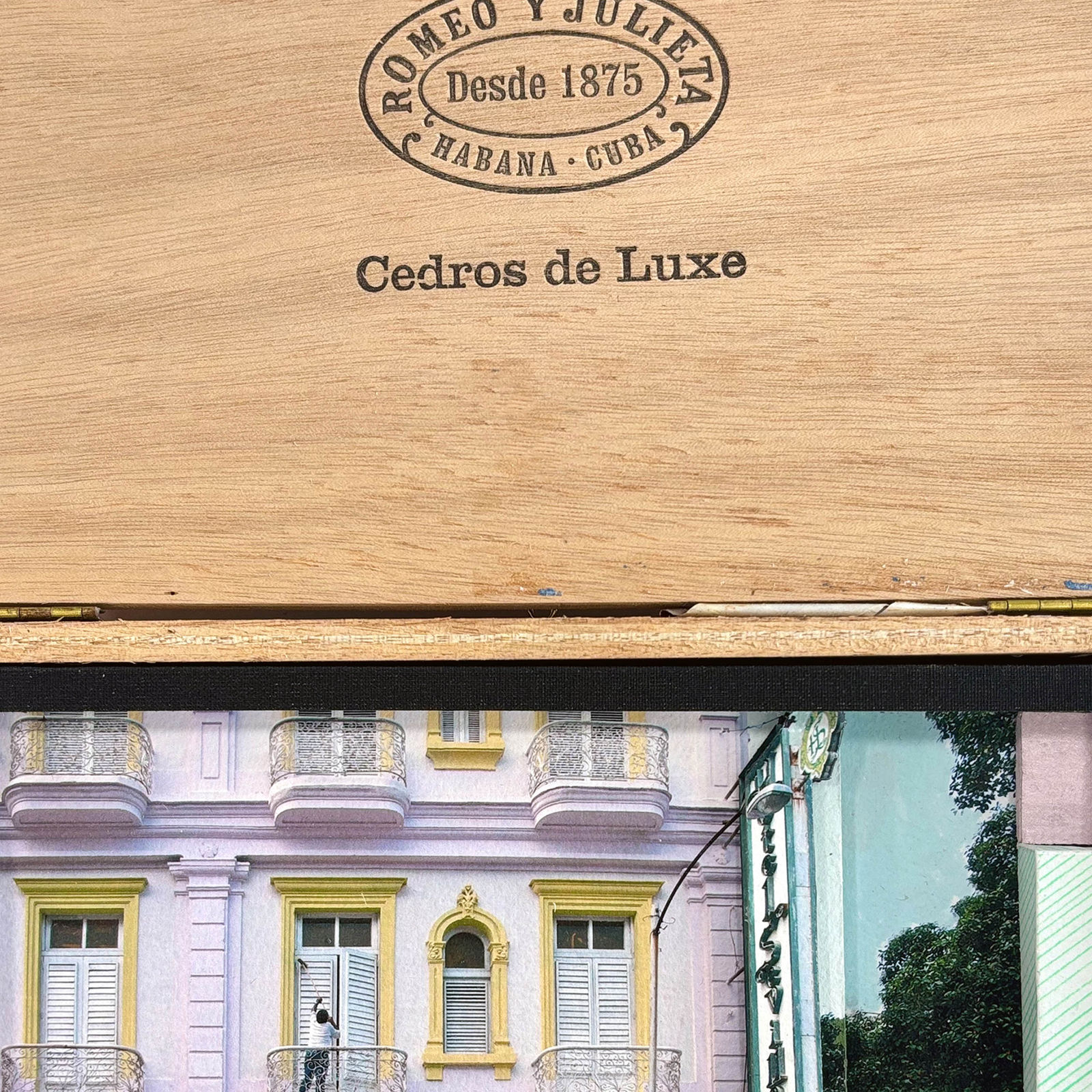 Bonnie and Clyde, Palacio Rosa