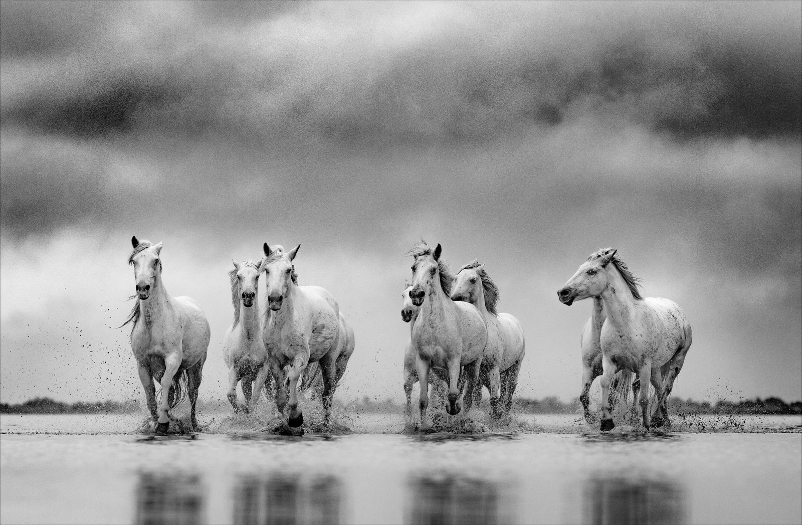 Lars Beusker, Ba Jun Tu, 2022