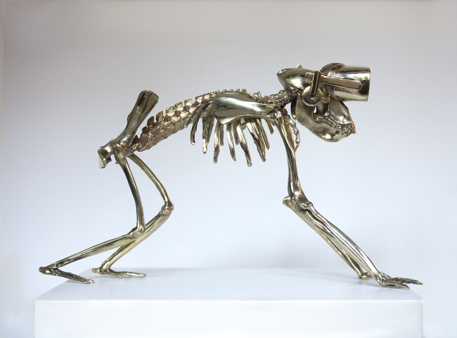 Beto Gatti, Sapiens 2.0 , 2021