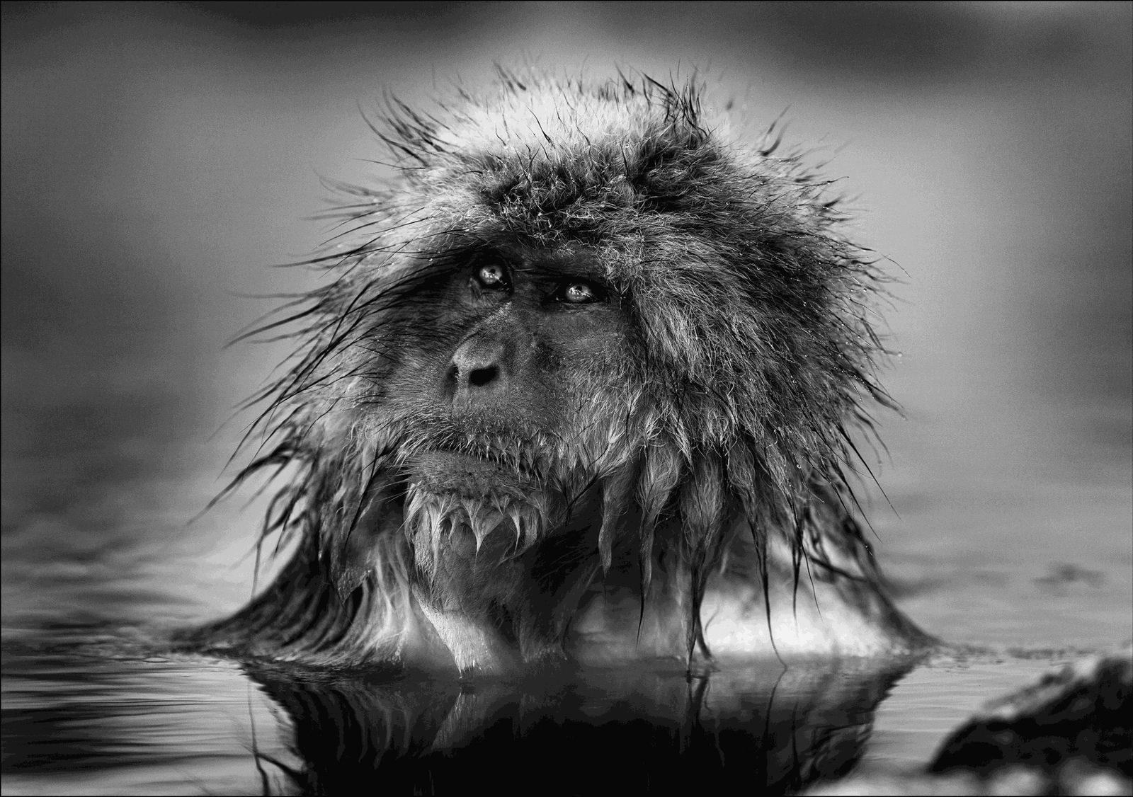 Lars Beusker, Mondays, 2019