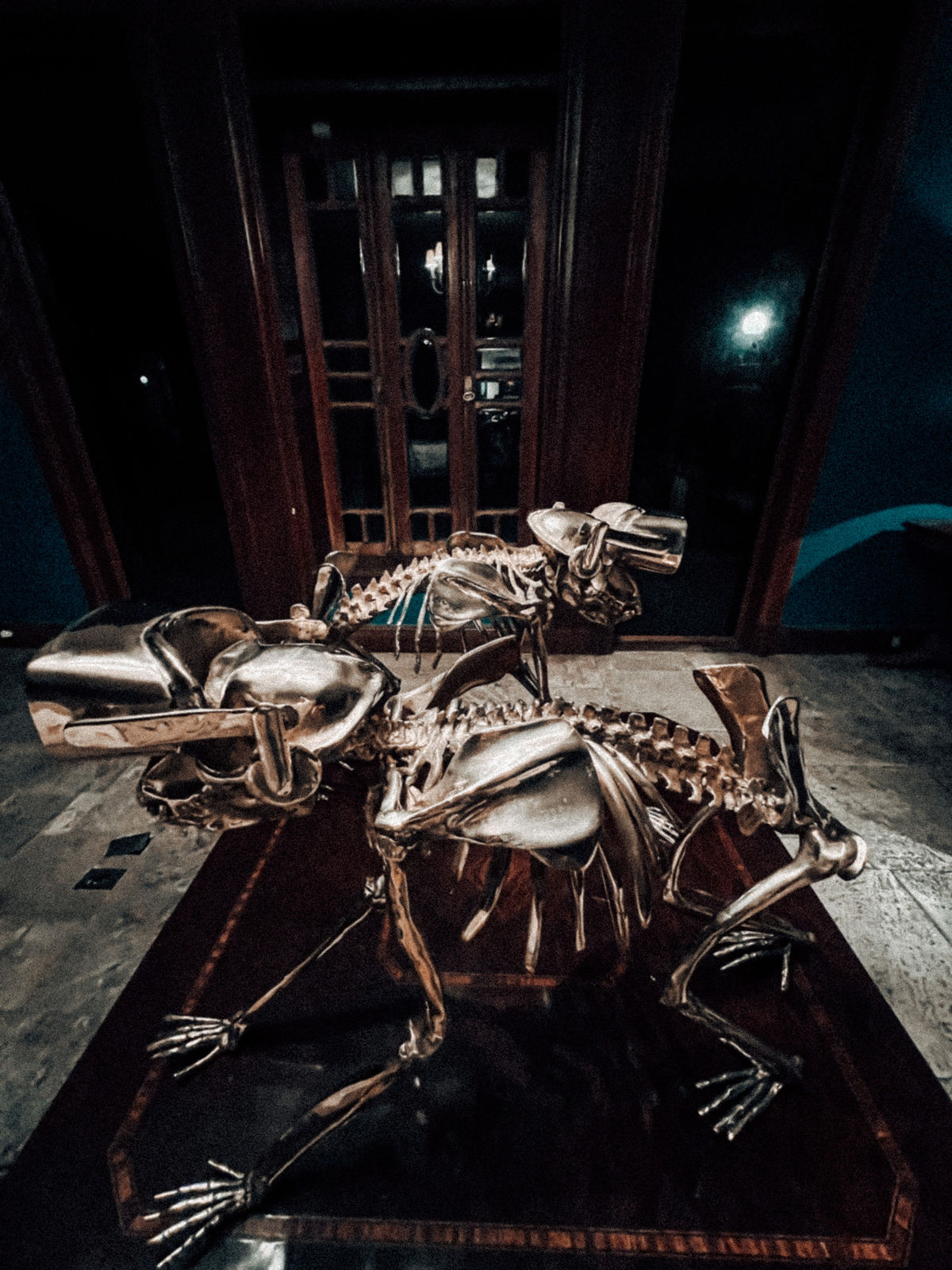 Beto Gatti, Sapiens 2.0 , 2021