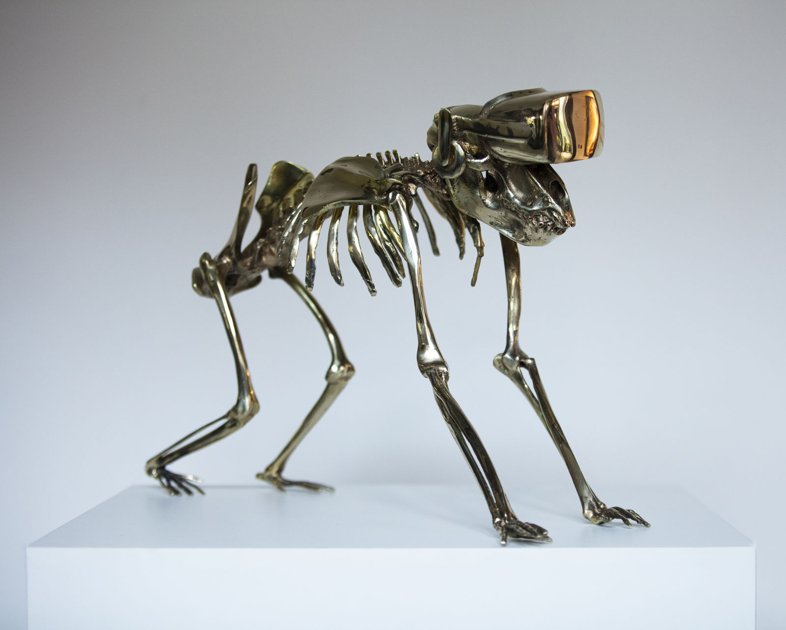 Beto Gatti, Sapiens 2.0 , 2021