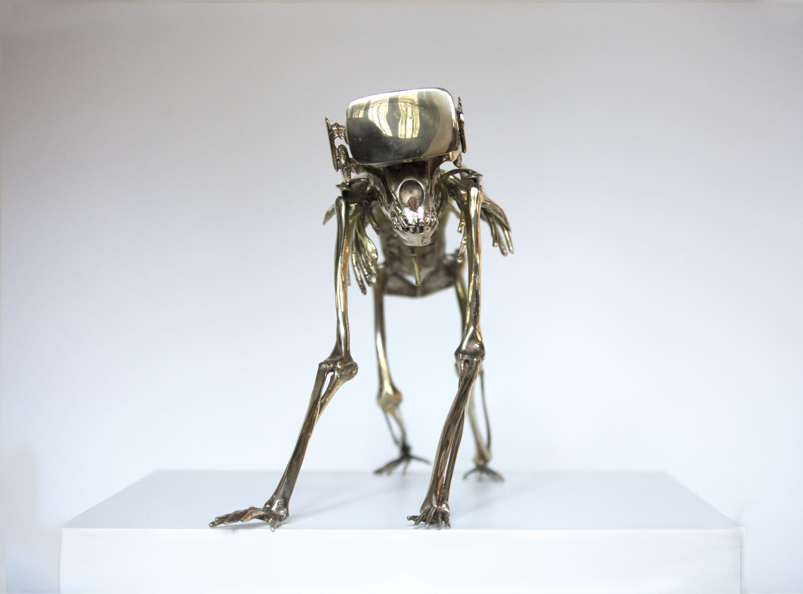 Beto Gatti, Sapiens 2.0 , 2021