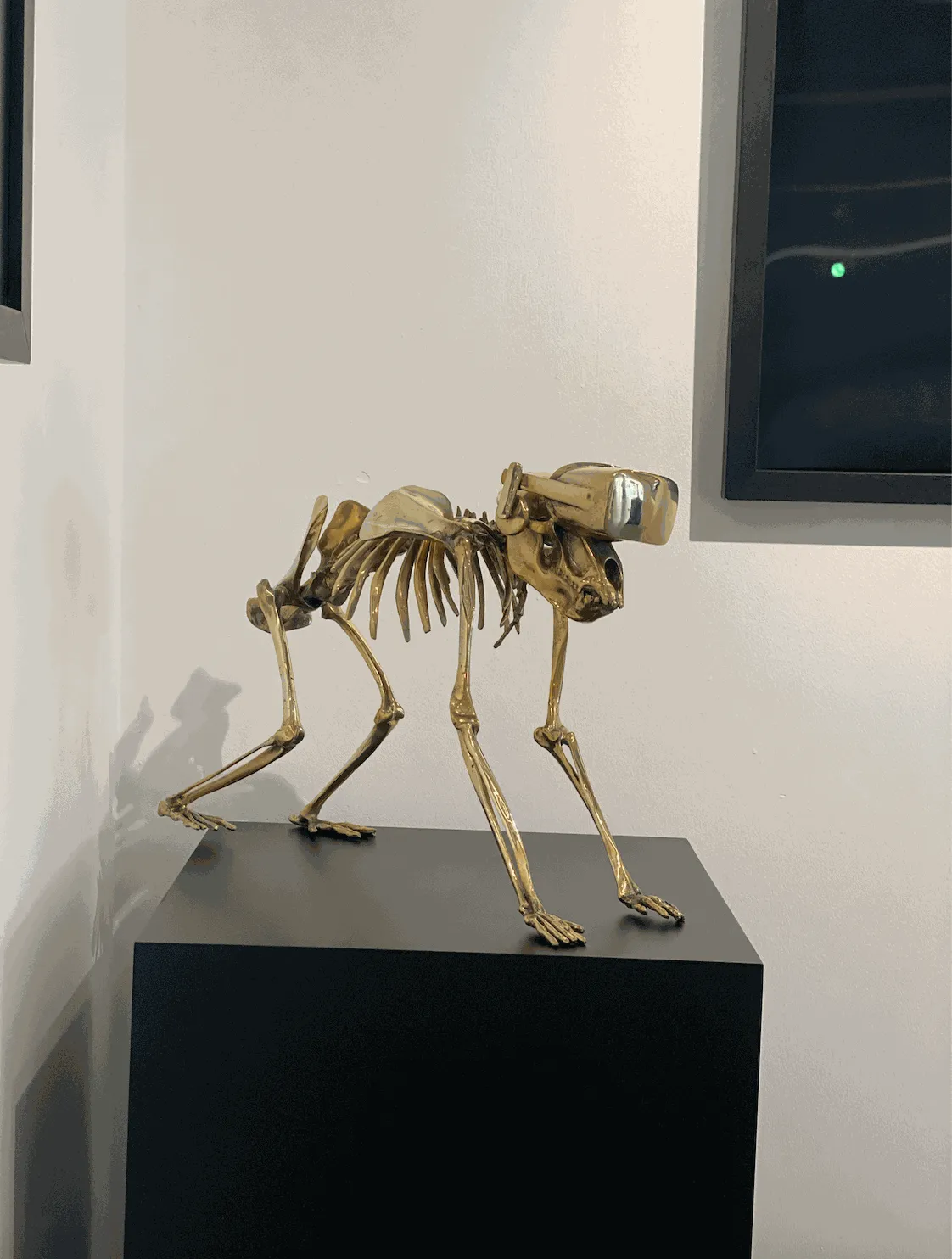 Beto Gatti, Sapiens 2.0 , 2021