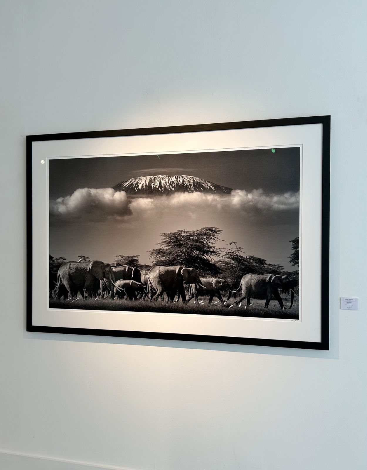 Lars Beusker, Garden Eden, 2023