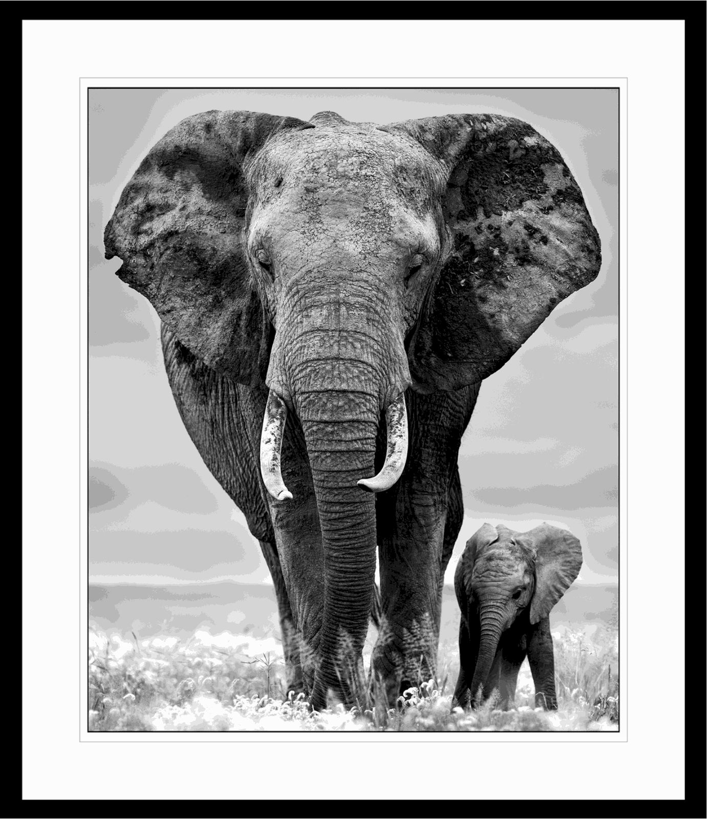 Lars Beusker, Mummy & Me, 2019