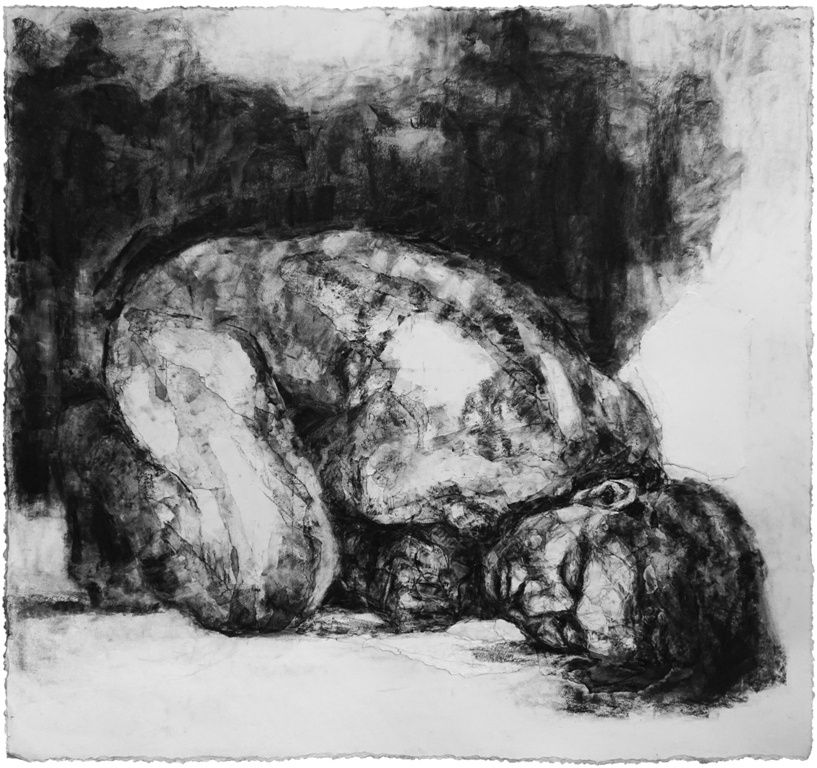 Alison Lambert, Julia, 2017