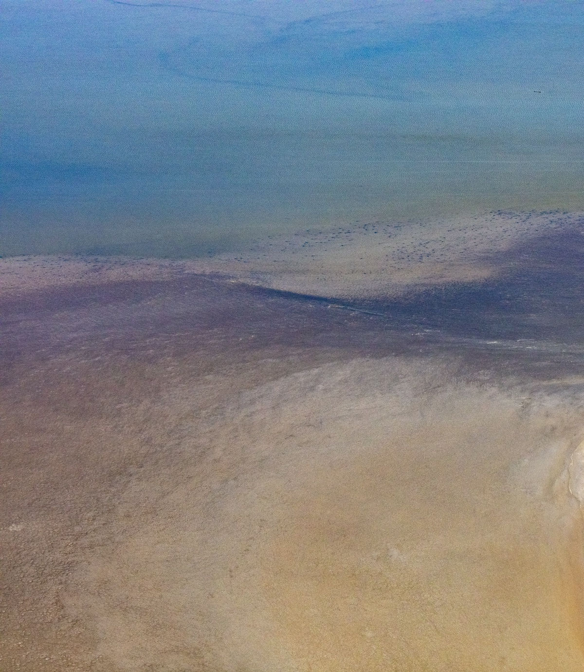 Kate Lloyd, A Different Camargue, 2022