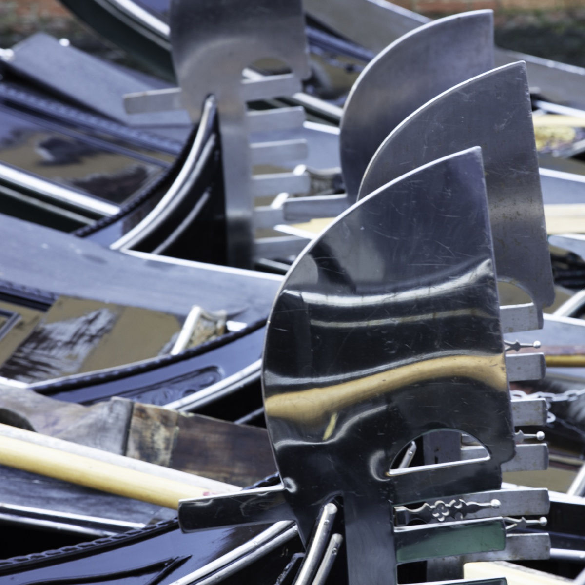 Kate Lloyd, Silver Ferri, 2022