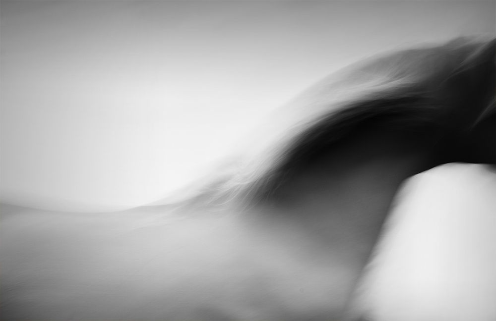 Kate Lloyd, Abstract Horse in Black and White, 2018