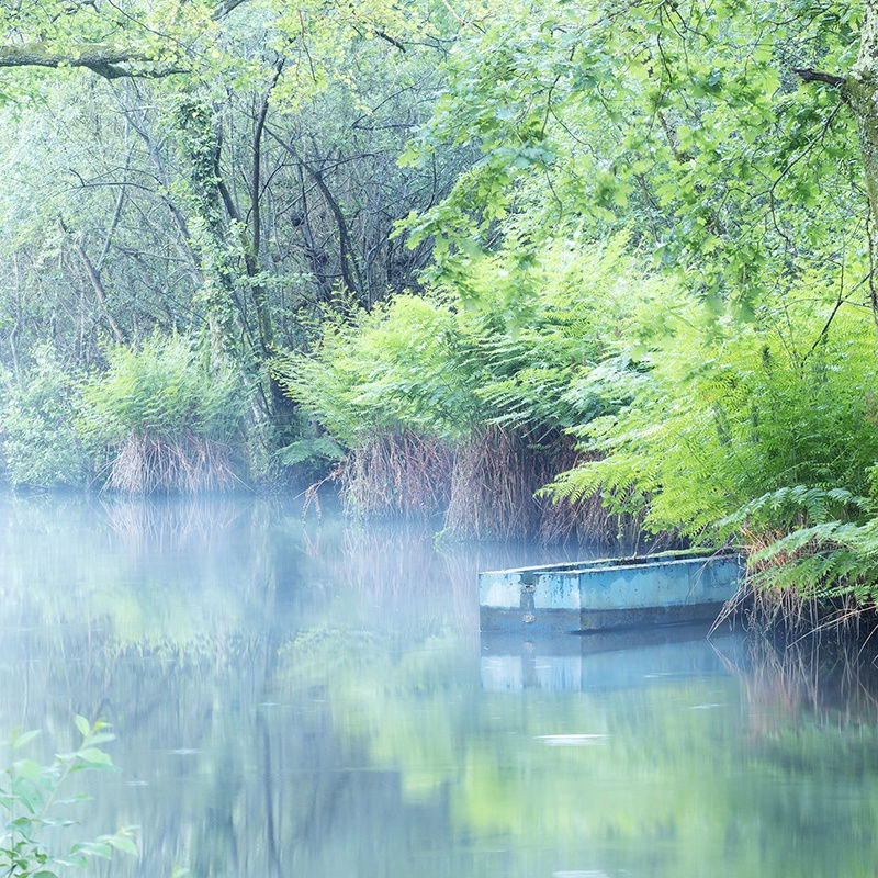 Kate Lloyd, Blue Boat on River 1, 2017