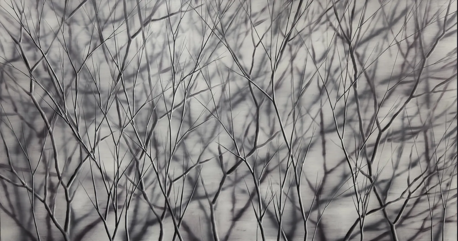 Mosh Kashi, Violette Forest, 2013