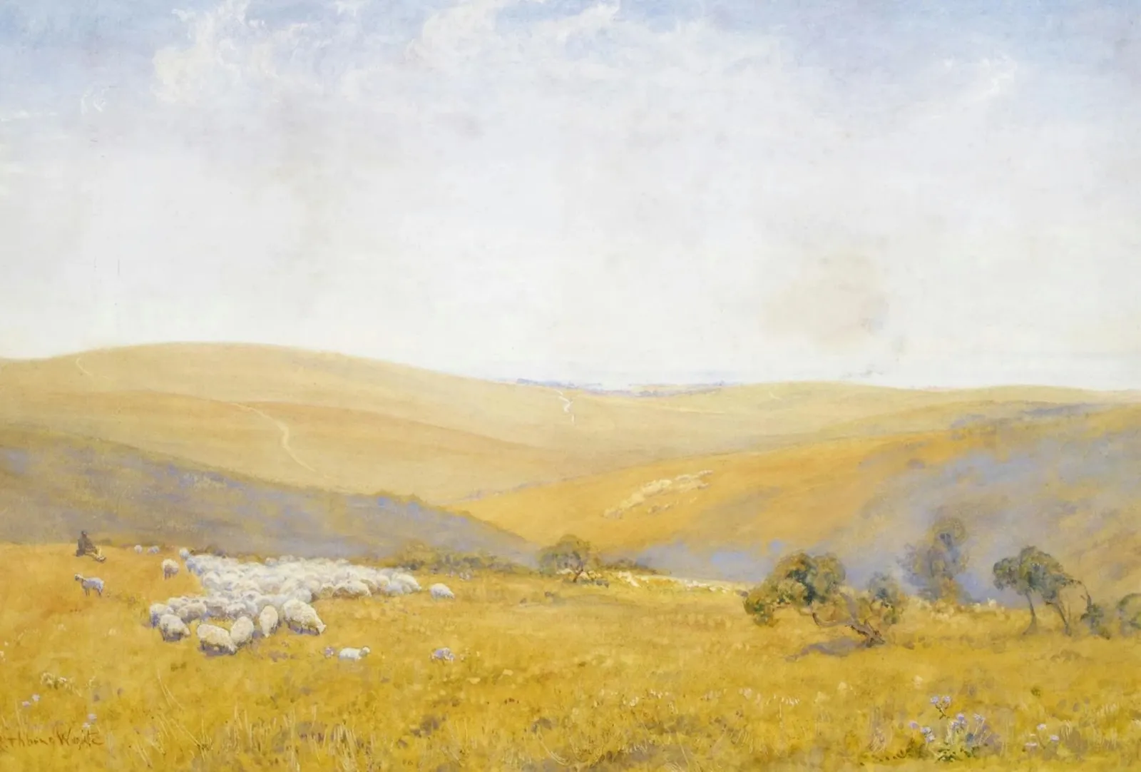 Robert Thorne Waite, Sussex Downs
