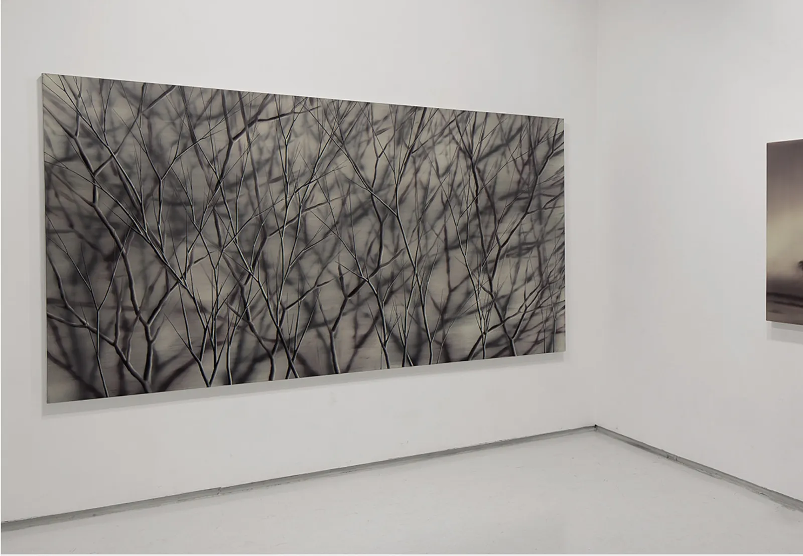 Mosh Kashi, Violette Forest, 2013