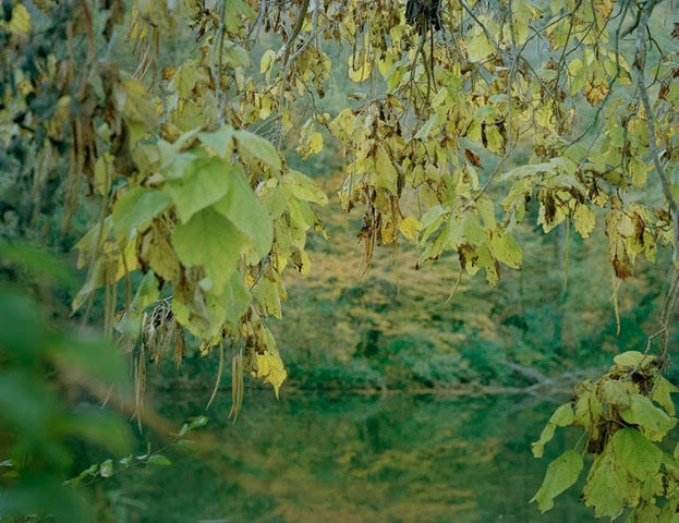 Rebecca Marshall, Vallée du Lot II, 2018