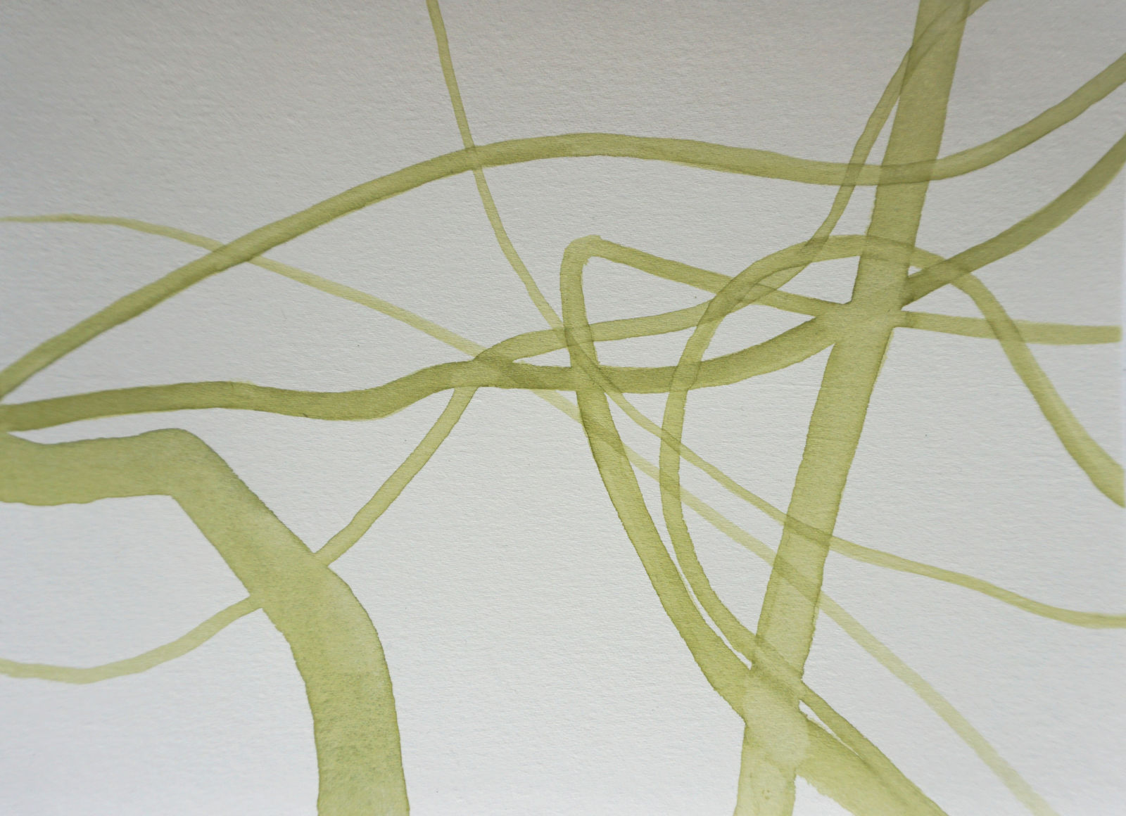 Lilian Cooper, Enteromorpha plumosa 2, 2020