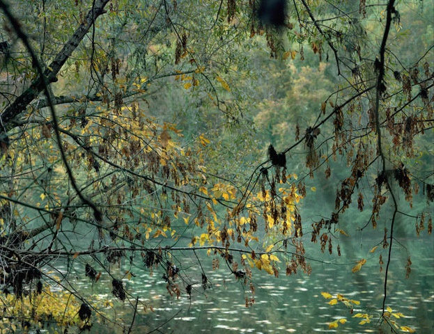 Rebecca Marshall, Vallée du Lot IV, 2020