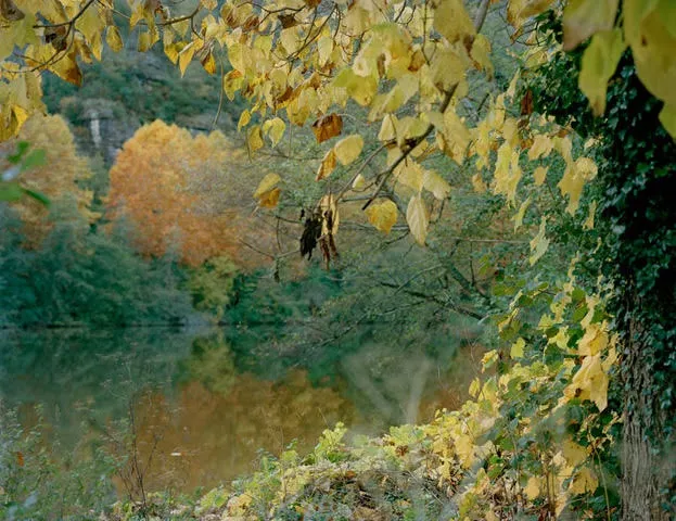 Rebecca Marshall, Vallée du Lot VII, 2018