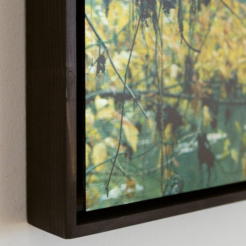 Rebecca Marshall, Vallée du Lot IV, 2020