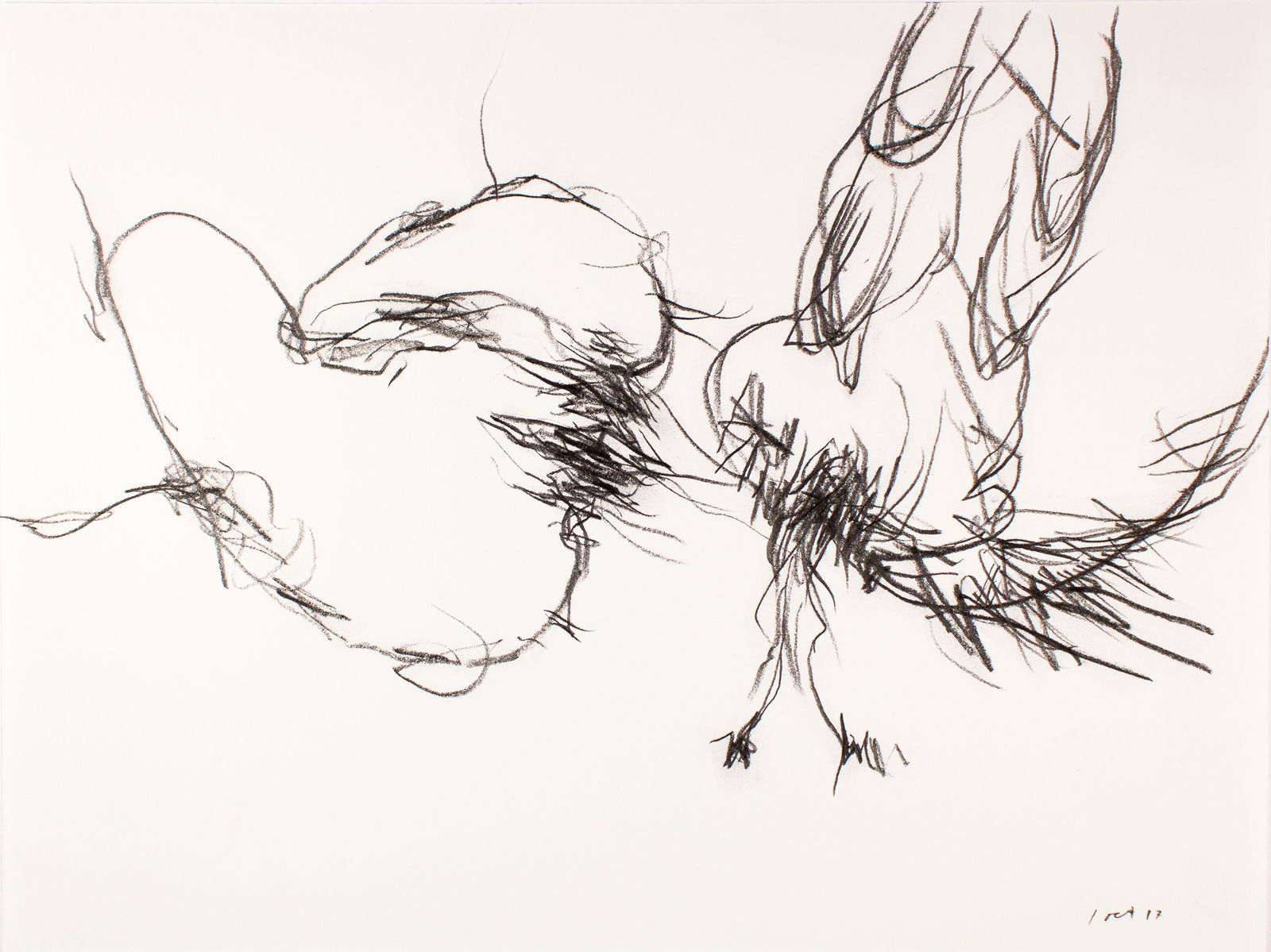 Untitled (Katalogos 2988), 2017