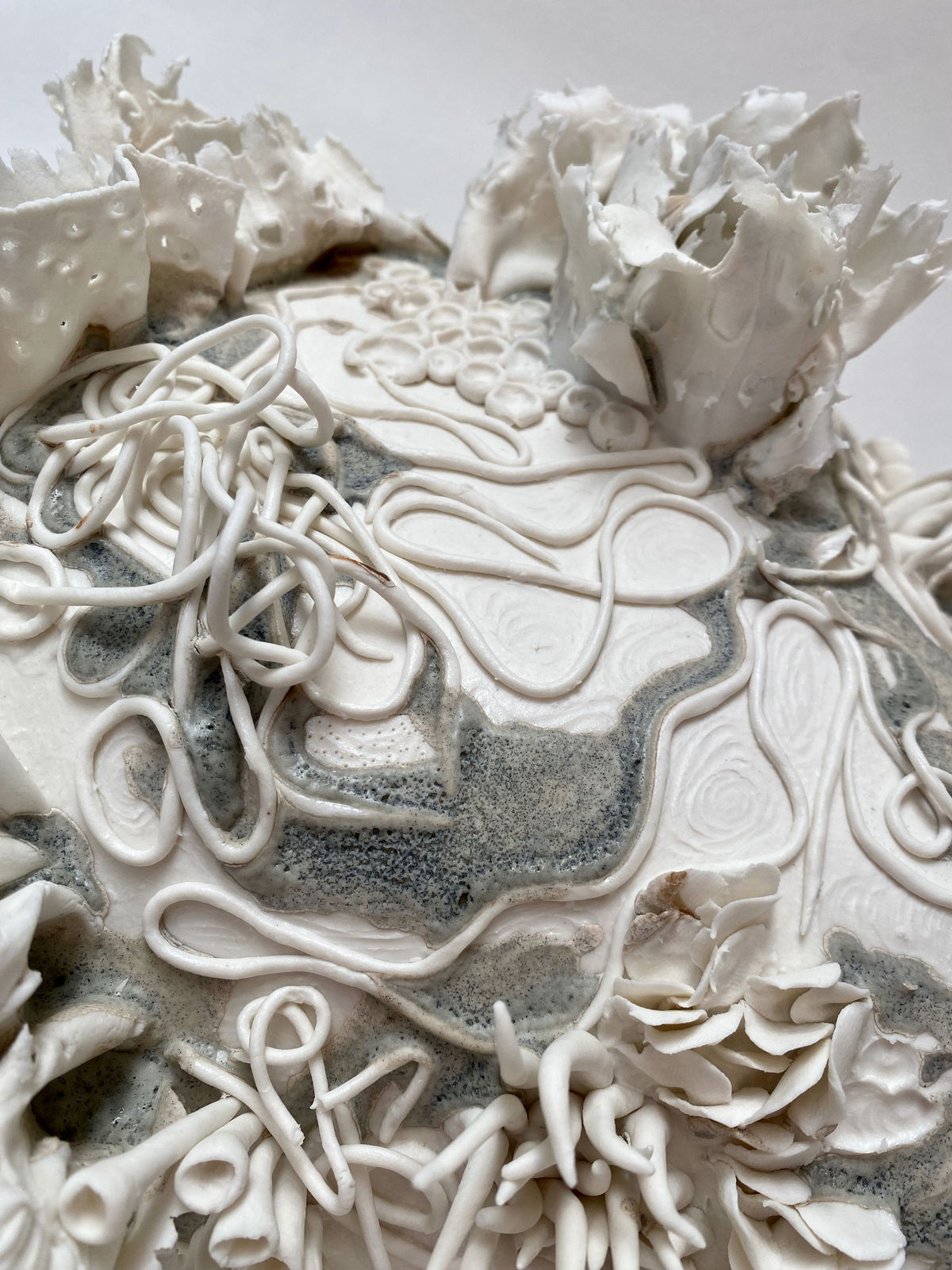 Anna Simson, Microcosm, 2024