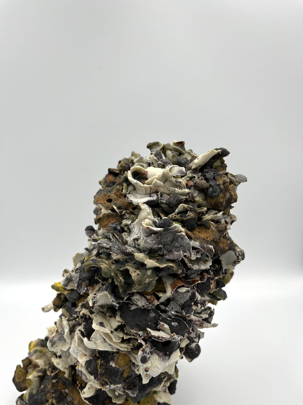 Gina Baum, Slated Remains, 2023