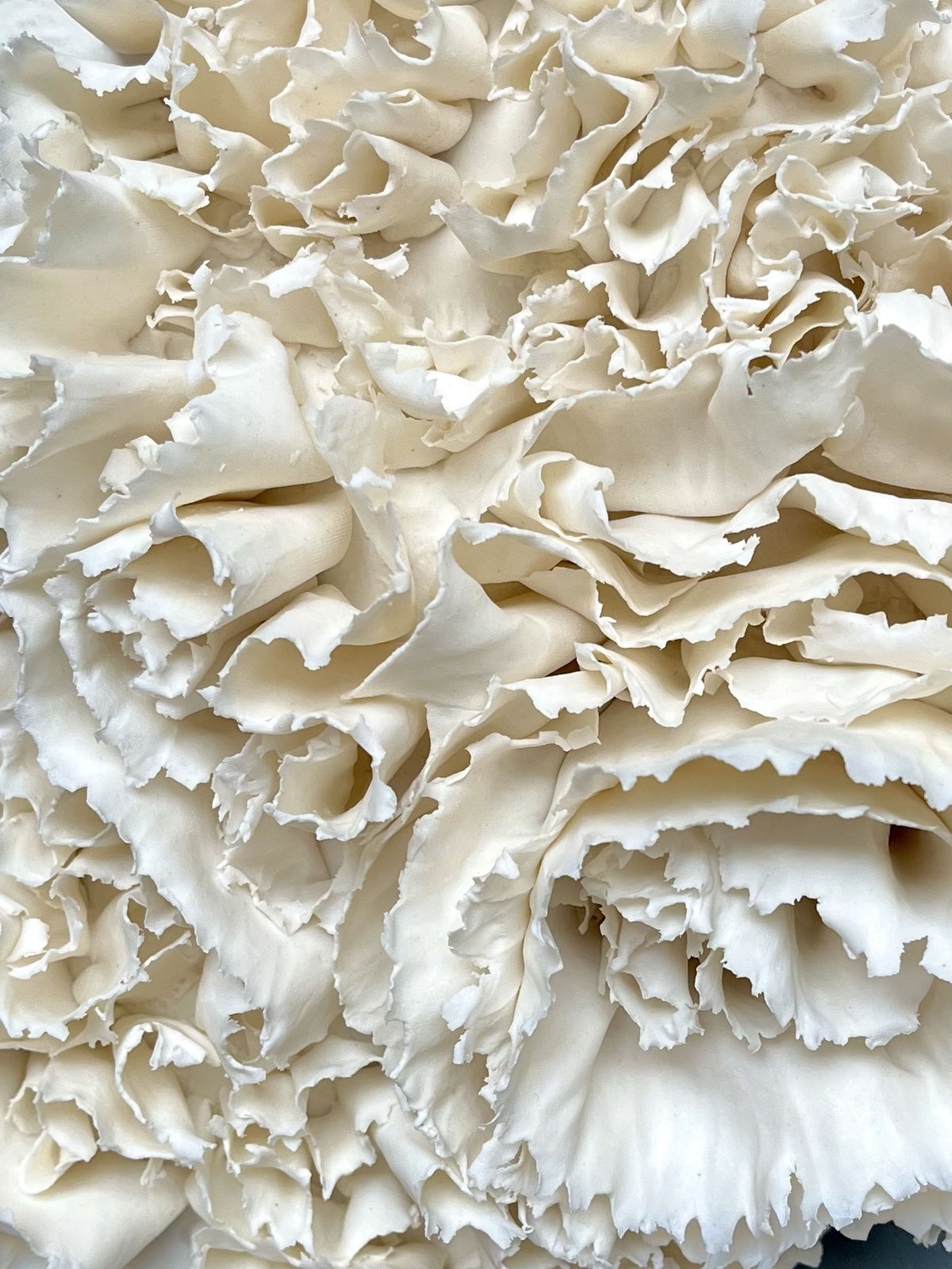 Anna Simson, Bloom II, 2024