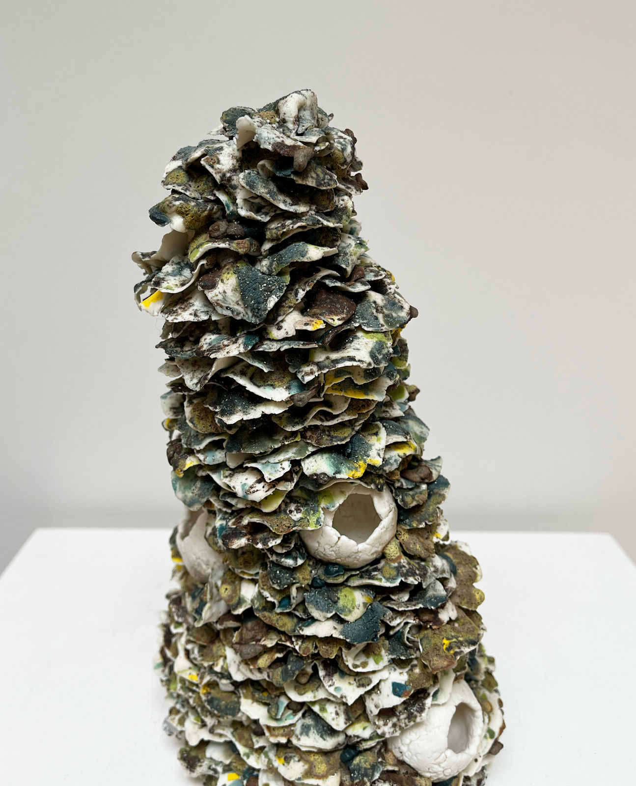 Gina Baum, Strata Lichen, 2025