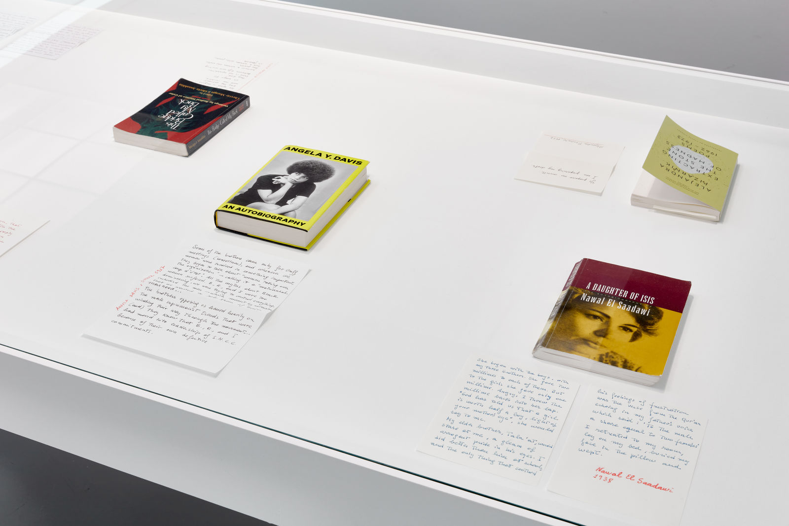 Dora García, Letters of Disappointment (Nº 2), 2022-2023