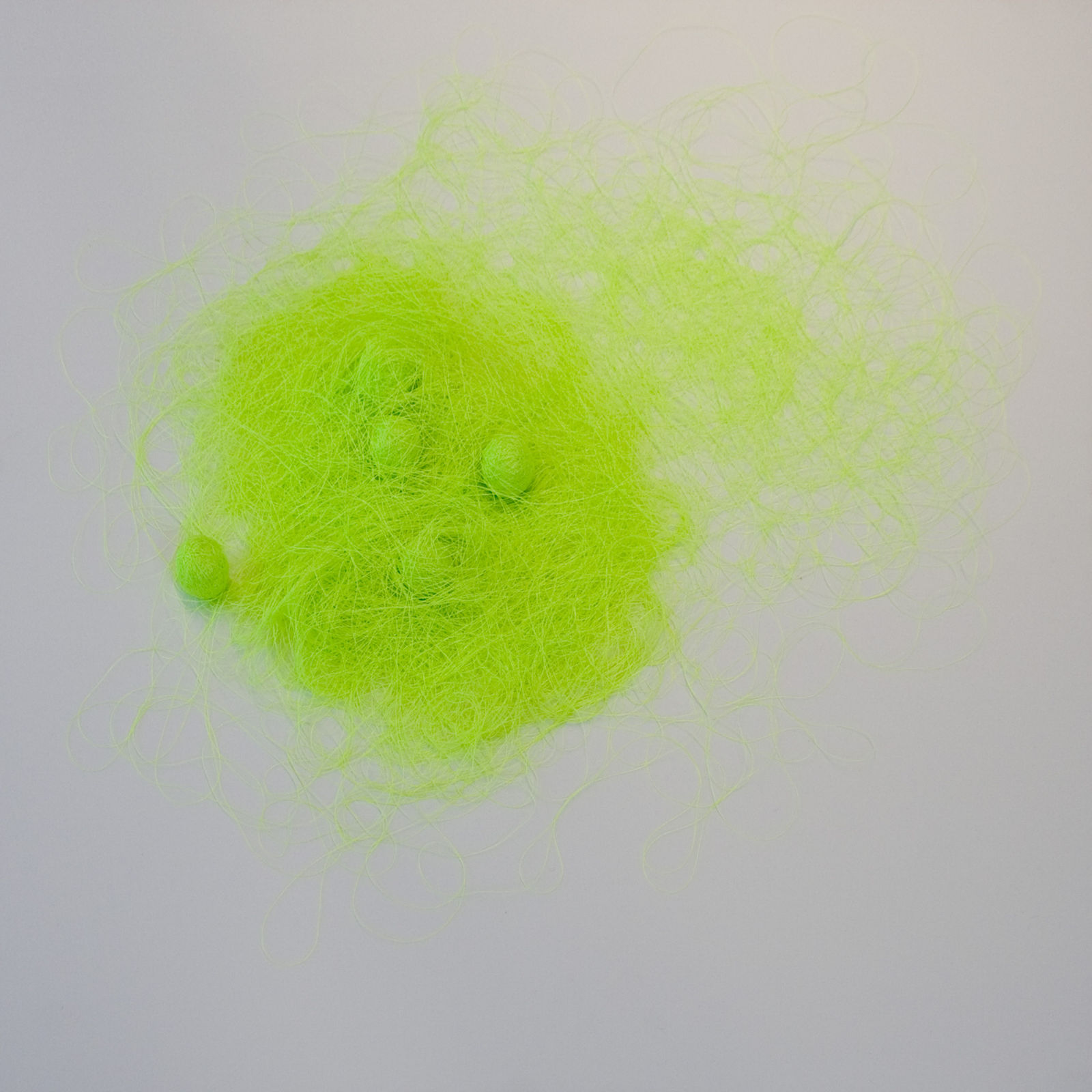 Anne Wilson, Untitled