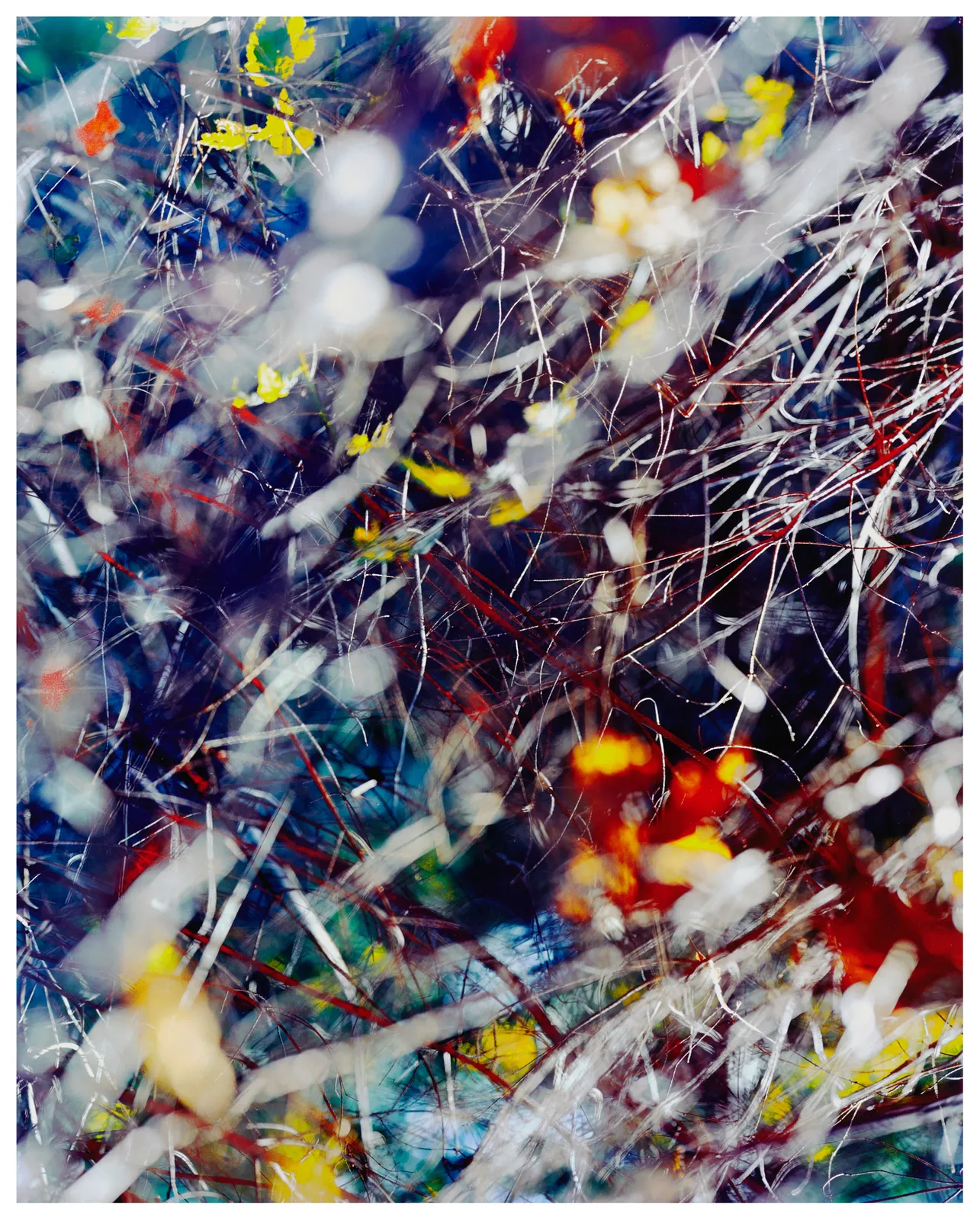 Michael Wesik, Forest Thicket, Composition No. 04, 2023