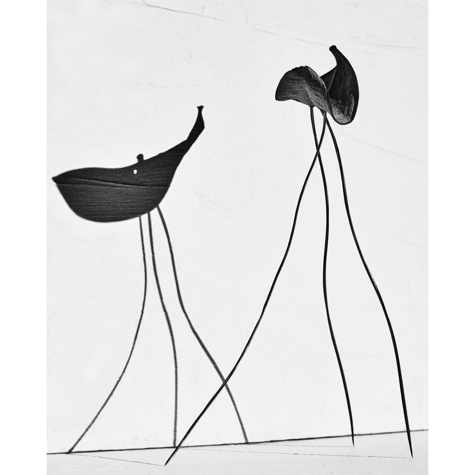 Txema Yeste, Study of Balance, 2019.