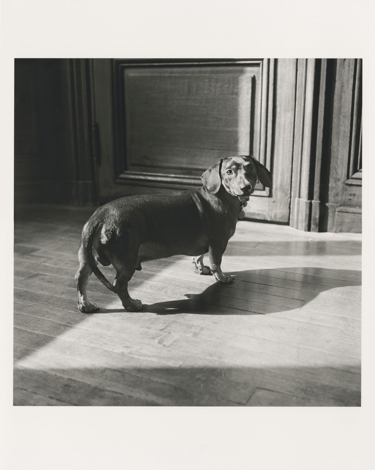 Peter Hujar, Archie Warhol, 1975, printed 2022