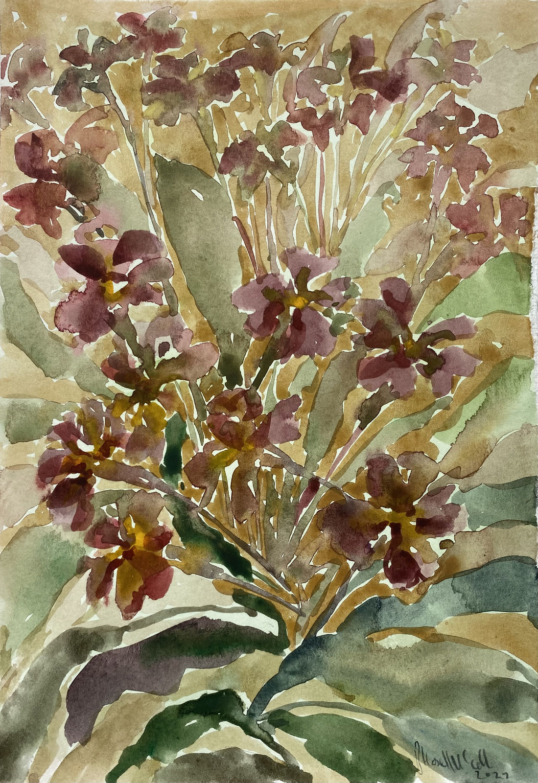 Beatrice Hasell-McCosh, Primulas , 2022
