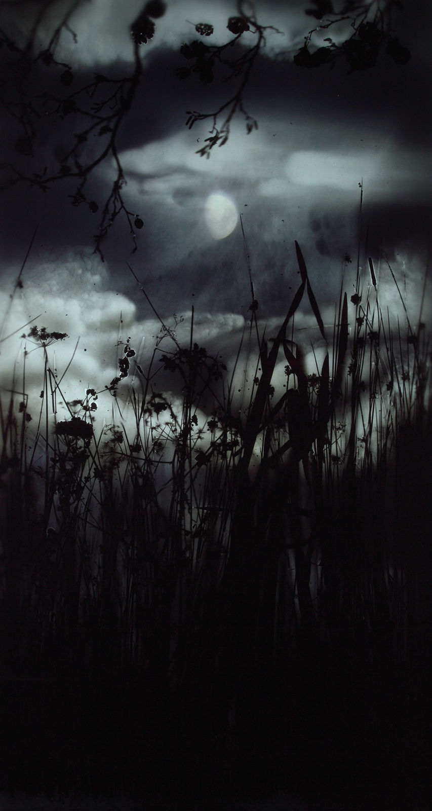 Gibbous Moon Reeds Cloud, 2009