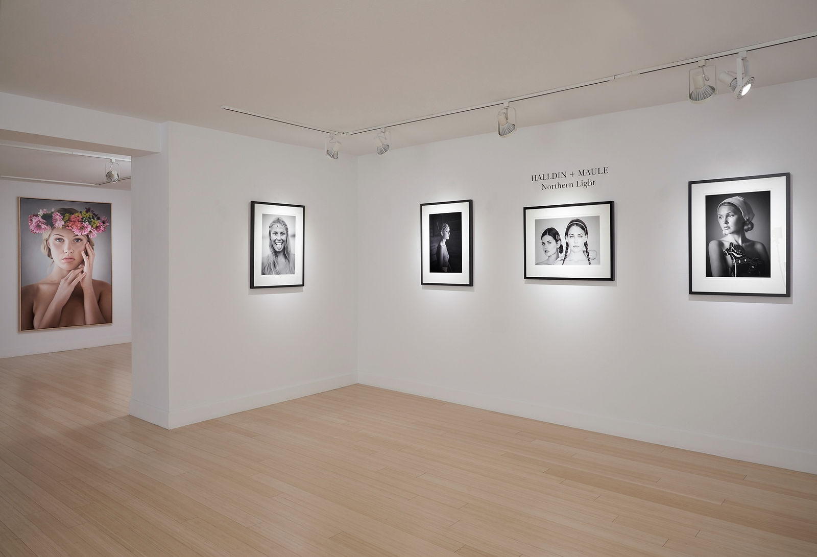 Halldin+Maule, Northern Light Exhibition