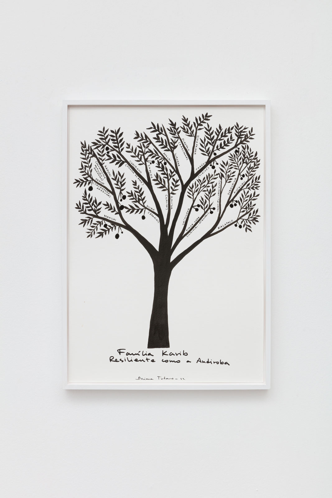 Daiara Tukano, Untitled, 2022
