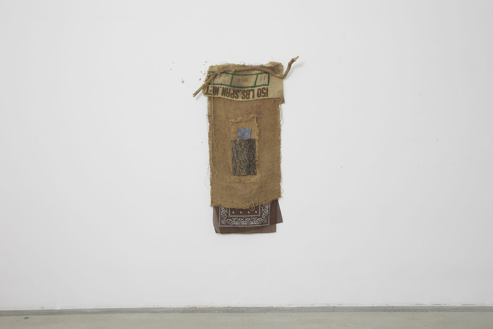 A BROWN STUDY, RESILIENCE , 2025