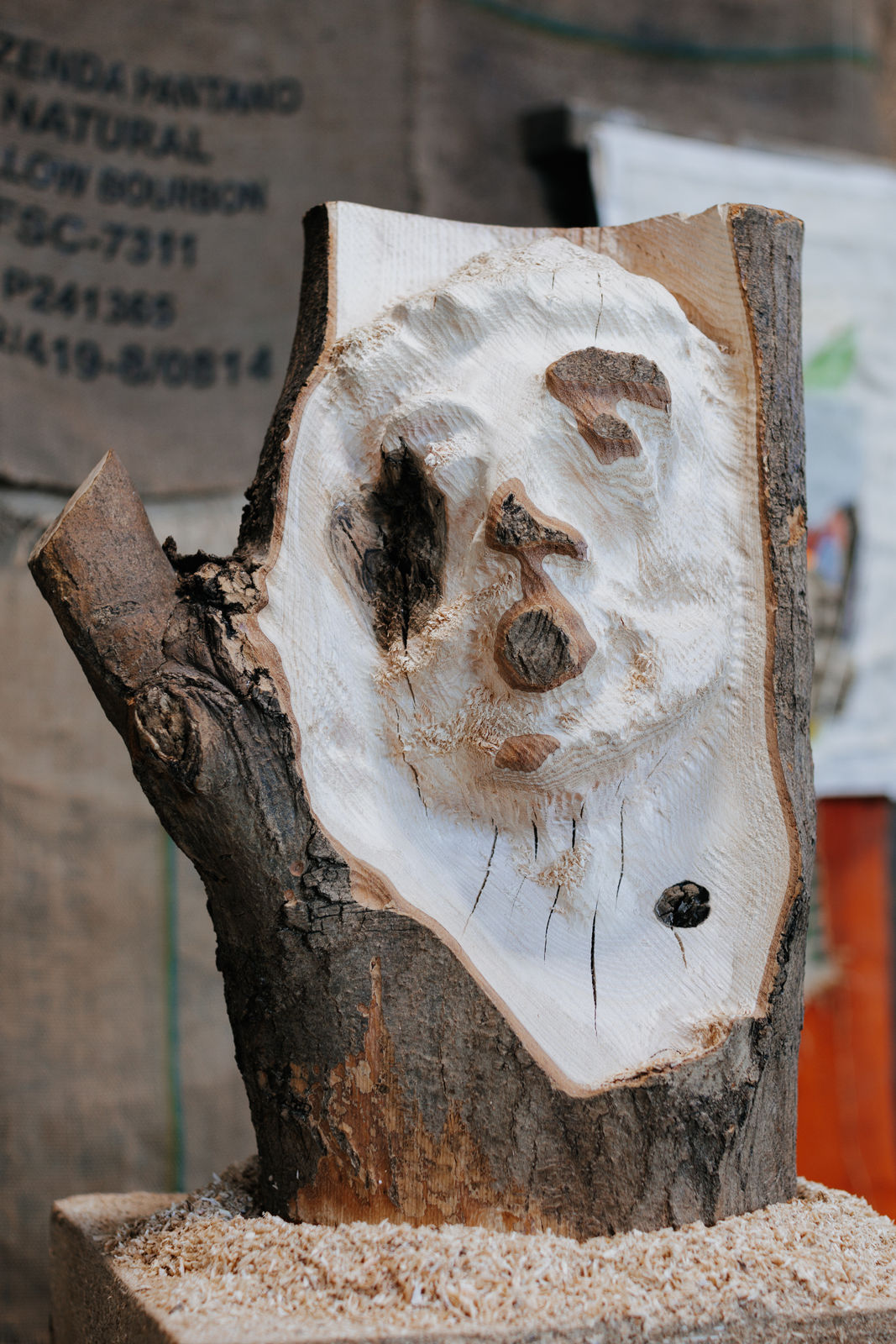 Xavier Leopold, ECHOES OF KING LEOPOLD, 2025