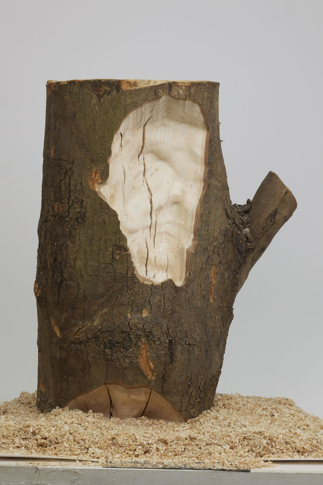 Xavier Leopold, ECHOES OF KING LEOPOLD, 2025