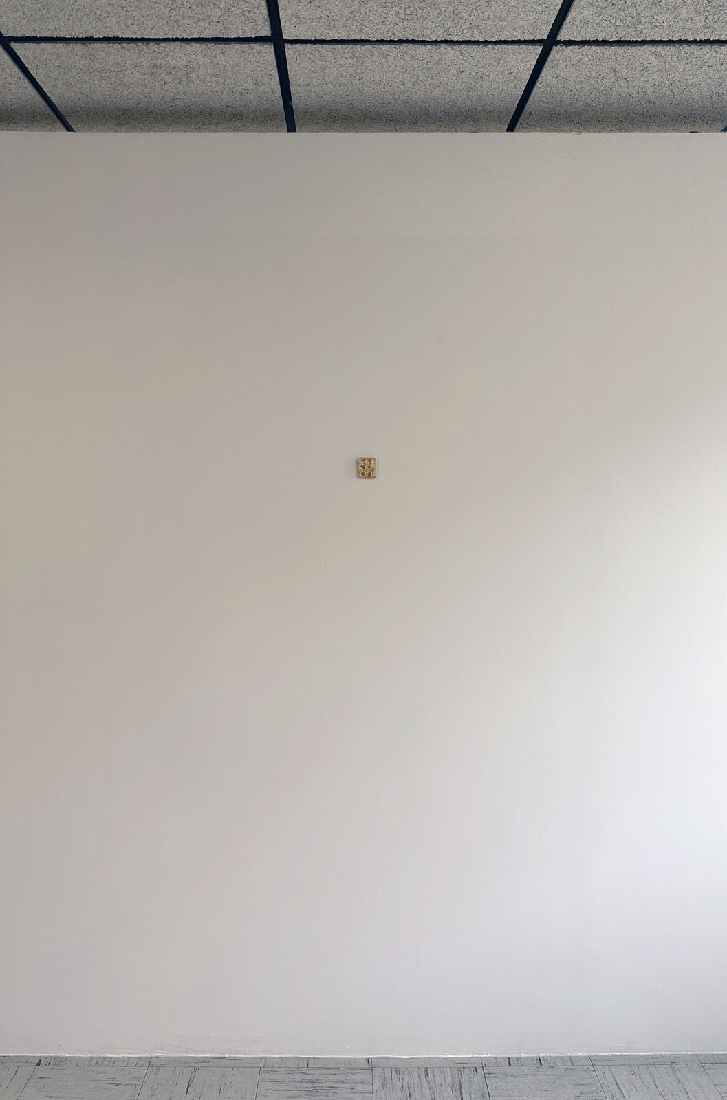 Tamara Johnson, Cracker #2, 2023