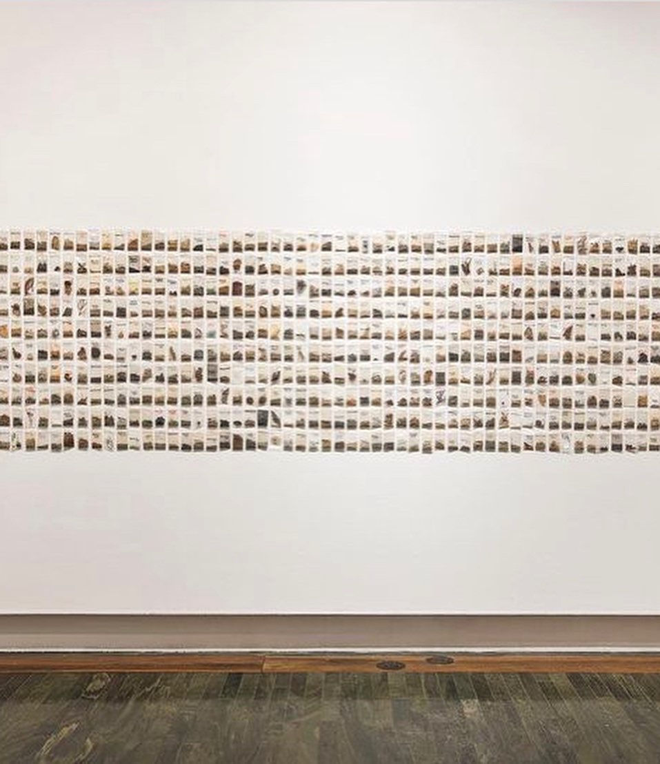 small bags of earth collected by the artist Nayda Collazo-Llorens