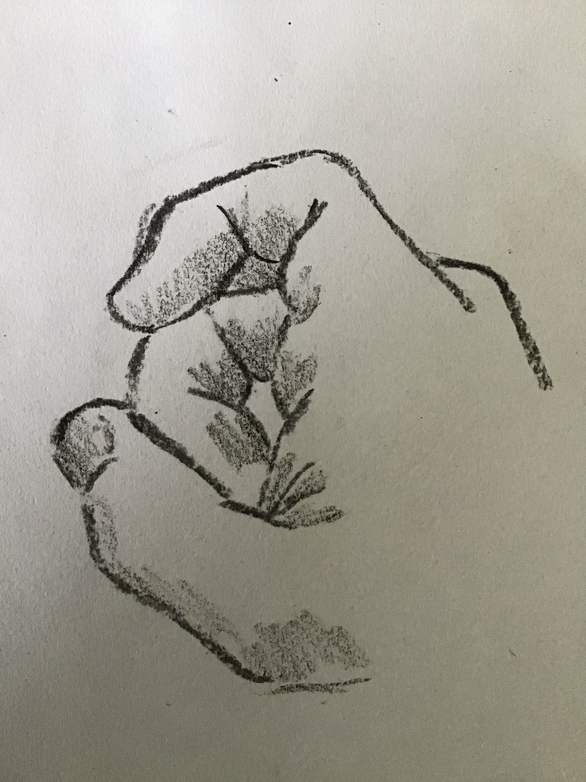 ‘Hand study’